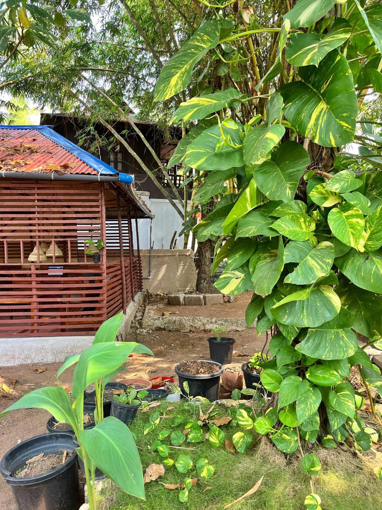 Bava Beach Resort & Retreat Center Varkala Exterior photo